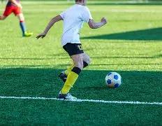 美冠杯分析,期专家详解,特点与走势,广州赛马会,广州赛马,赛马赛事,赛马资讯