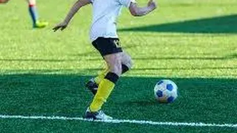 美冠杯分析：7胜6期专家详解特点与走势