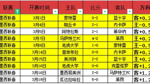 大乐透期号专家推荐：质合分析及前区十码优化解析